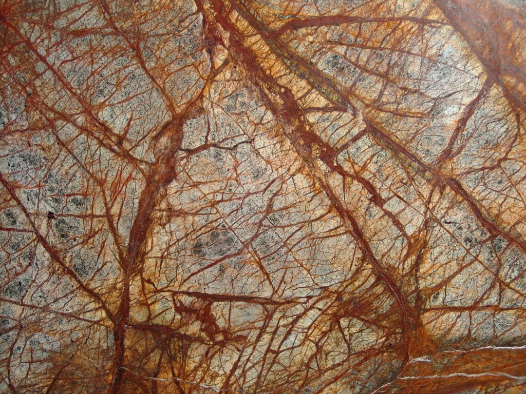 Rain Forest Brown - photo de la pierre