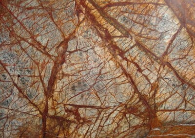 Rain Forest Brown