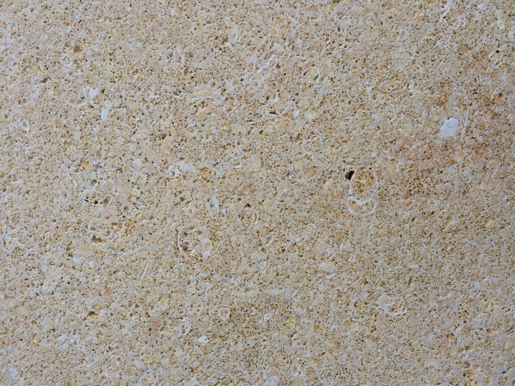 Pierre Calcaire Crema Elche - photo de la pierre
