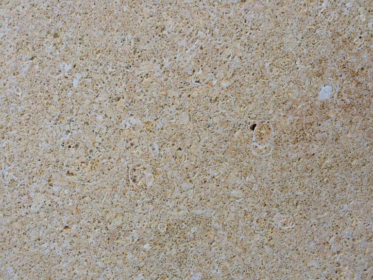 Catalogue de marbres, granits et pierres naturelles 34 Crema Elche detail Pierre Calcaire Crema Elche