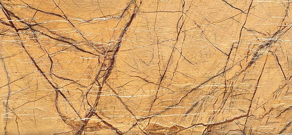 Rain Forest Gold 1 RAINFOREST GOLD Rain Forest Gold - photo de la pierre